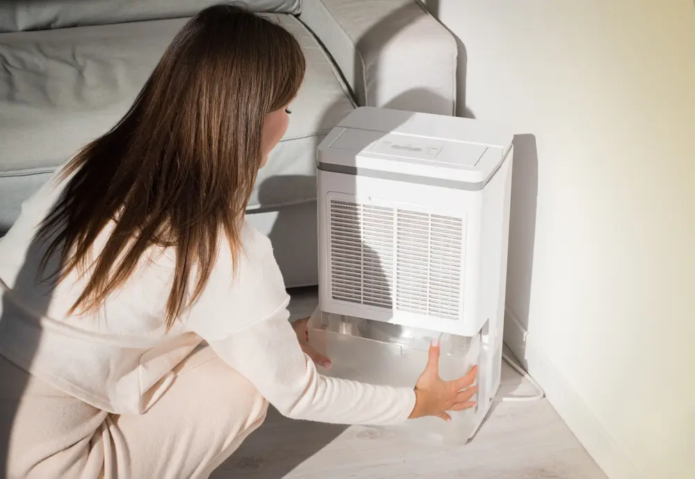 Woman changing water container in air dryer, dehumidifier, humidity indicator. Humid air at home.