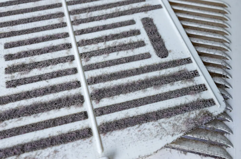 How Often Should You Clean Your Air Ducts? - Charles Stone – Heating and Cooling Blocked by dust and debris the air filter of the ventilation return duct at home. The need to clean ventilation for fresh air, dust allergy concept.